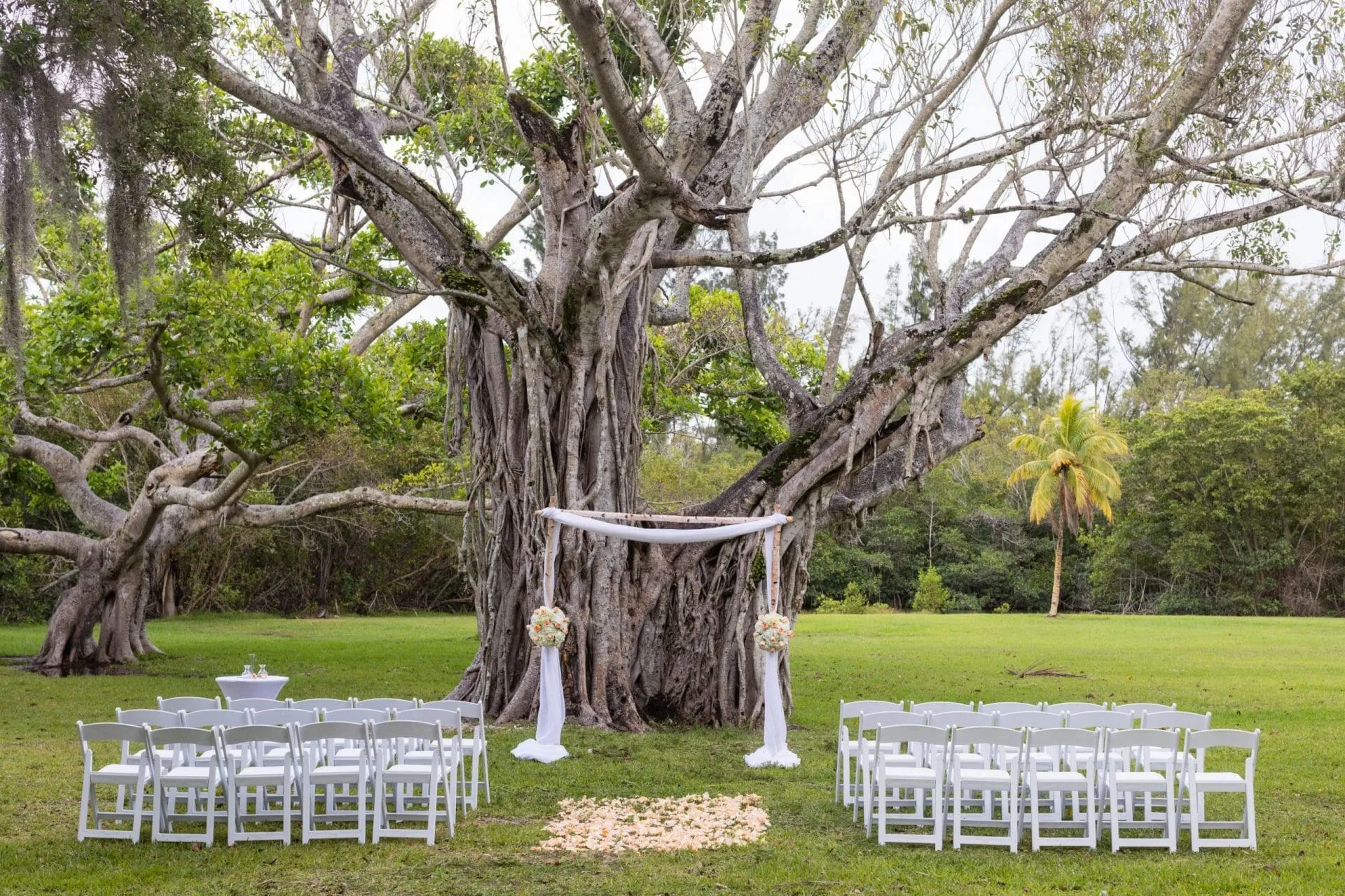 Intimate wedding ceremony by the calm lagoon at Matheson Hammock Park